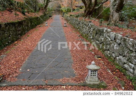 Futagoji Temple Maple Carpet Futagoji Temple Maple Carpet 84962022