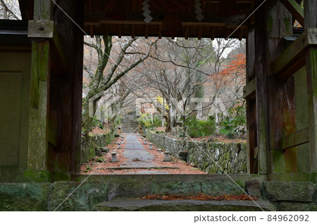 二子寺楓葉地毯 二子寺楓葉地毯 84962092