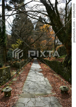 二子寺楓葉地毯 二子寺楓葉地毯 84962099