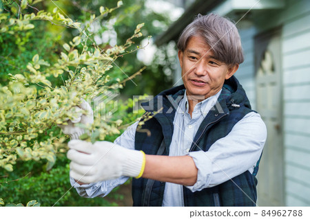 Gardening senior man 84962788