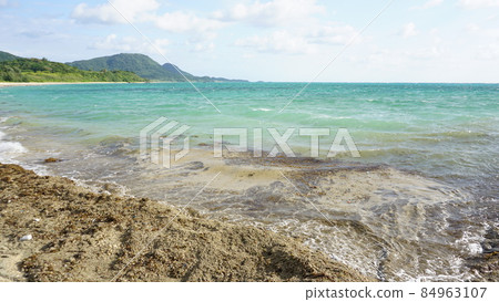 環境破壞，浮石漂移 84963107