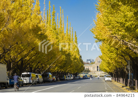 Jingu Gaien's Icho Namiki 84964215