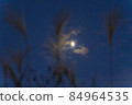 Japanese pampas grass and half moon 84964535