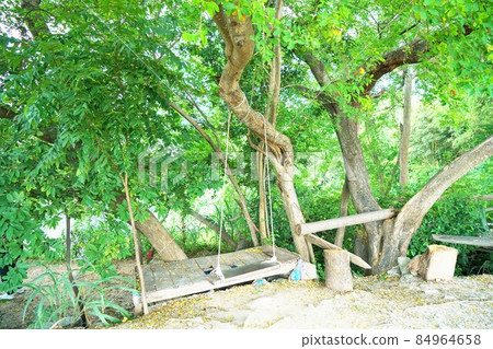 Pattaya, lake, chonburi 84964658