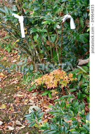 文殊山寺 日本的三個文殊 三人接近的文殊智慧 84964835