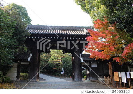 秋葉的Sojiji寺橫濱市神奈川縣 84965393