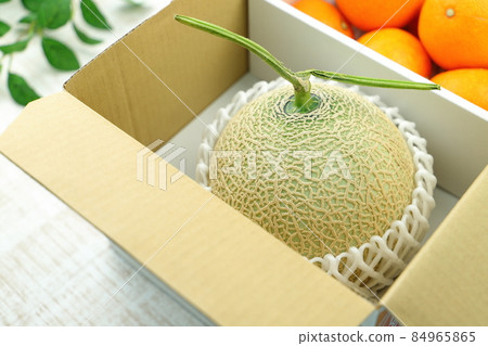 Image of melon year-end gift Image of melon year-end gift 84965865