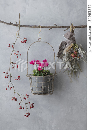 Christmas swag and cyclamen Christmas swag and cyclamen 84965873