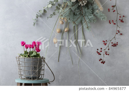 Christmas swag and cyclamen Christmas swag and cyclamen 84965877