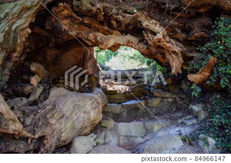 The gate of a raw tree that goes under the tree and heads for the Okunoin The gate of a raw tree that goes under the tree and heads for the Okunoin 84966147