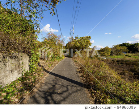 Scenery of a narrow pass 84966399