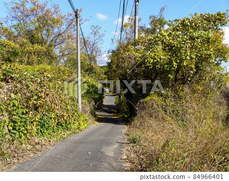 狹窄通道的風景 84966401