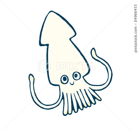 魷魚的鬆散手繪插圖 84966455