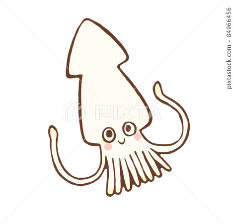 魷魚的鬆散手繪插圖 84966456