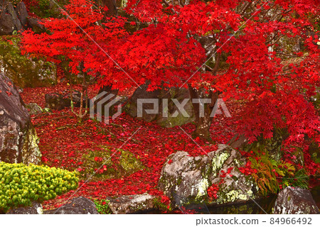 Autumn leaves in Yabakei, Nakatsu, Oita Prefecture 84966492