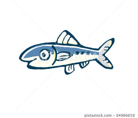 魷魚的鬆散手繪插圖 魷魚的鬆散手繪插圖 84966658