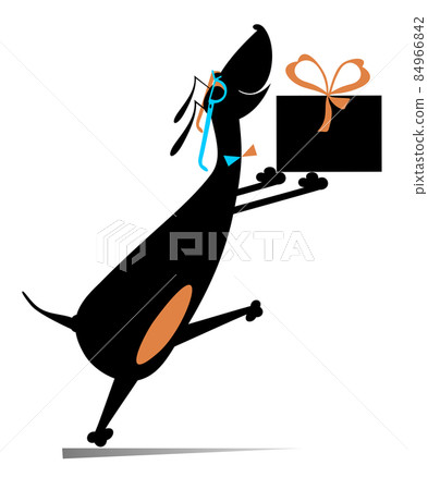 Cartoon dog holds a present box with ribbon illustration. Funny dachshund with a gift celebrating birthday or important event isolated on white 84966842