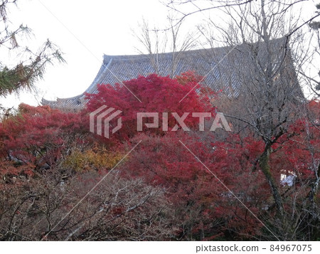 京都秋葉上的東福寺 84967075