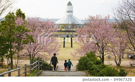 Scenery with cherry blossoms <01> (Children heading to Sakura and Otogi no Morikan) Inside Takaoka Otogi no Mori Park, Takaoka City, Toyama Prefecture 84967320