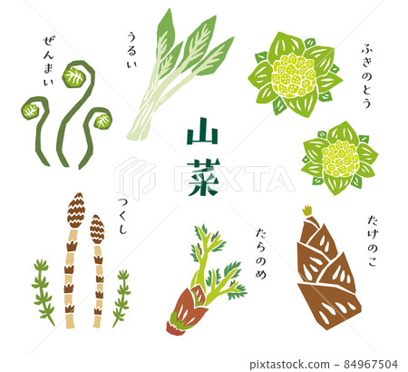 Wild vegetable set retro vector illustration 84967504