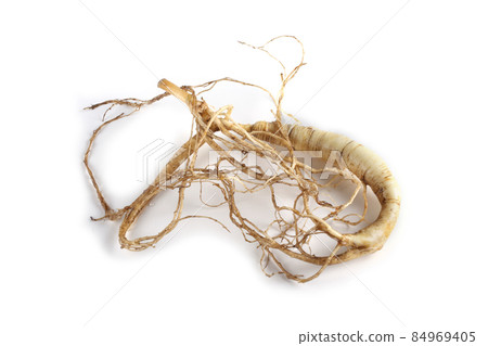 Ginseng isolated on white background Ginseng isolated on white background 84969405
