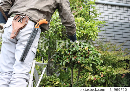 Gardener pruning Gardener pruning 84969730