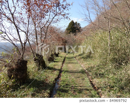 Satoyama and Kunugi Satoyama and Kunugi 84969792