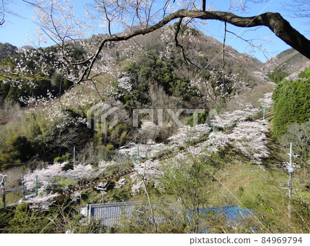 有彈性的satoyama風景 84969794