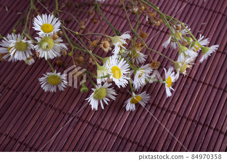 Camomiles on bamboo background Camomiles on bamboo background 84970358
