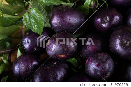 Violet potatoes Violet potatoes 84970359