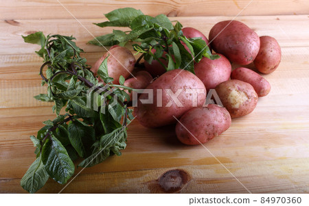 Pink potatoes Pink potatoes 84970360