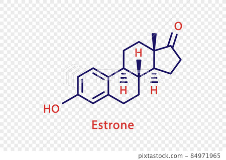 Estrone chemical formula. Estrone structural chemical formula isolated on transparent background. Estrone chemical formula. Estrone structural chemical formula isolated on transparent background. 84971965