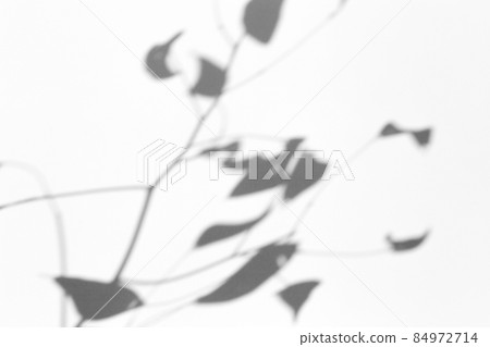 Shadow overlay effect for photo. Shadows from tree leaves and tropical branches on a white wall in sunlight. Shadow overlay effect for photo. Shadows from tree leaves and tropical branches on a white wall in sunlight. 84972714