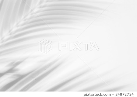 Shadow overlay effect for photo. Shadows from tree leaves palm and tropical branches on a white wall in sunlight.. Shadow overlay effect for photo. Shadows from tree leaves palm and tropical branches on a white wall in sunlight.. 84972754