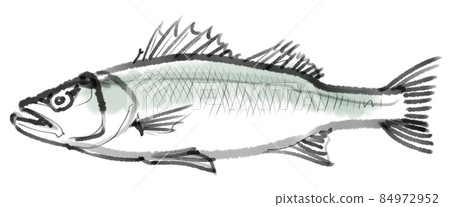 Sea bass-Sea bass-Sumi-e transparent 84972952