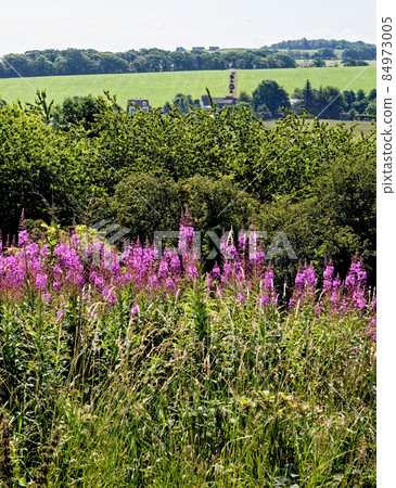 Viev of the ancient town of Dundonald - South Ayrshire - Scotland 84973005
