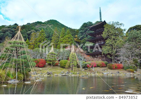 Rurikoji寺五層塔 Rurikoji寺五層塔 84973852