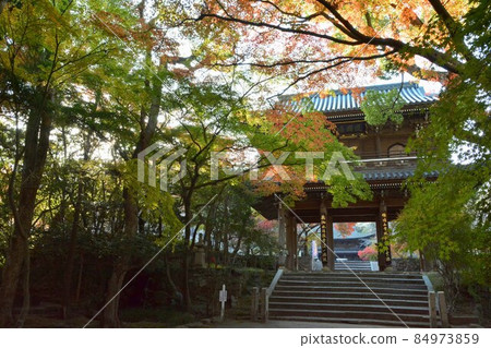 宮寺 宮寺 84973859