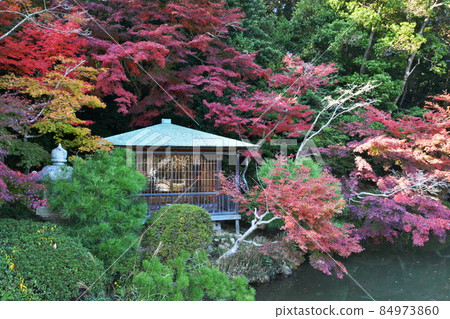 調布花園 84973860