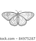 Coloring book or page for kids. Butterfly black and white vector 84975287