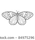 Coloring book or page for kids. Butterfly black and white vector 84975296