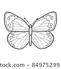 Coloring book or page for kids. Butterfly black and white vector 84975299