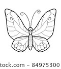 Coloring book or page for kids. Butterfly black and white vector 84975300