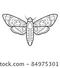 Coloring book or page for kids. Butterfly black and white vector 84975301