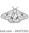Coloring book or page for kids. Butterfly black and white vector 84975303