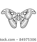 Coloring book or page for kids. Butterfly black and white vector 84975306