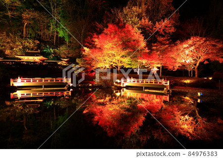 Oshu City, Iwate Prefecture Esashi Fujiwara no Sato Autumn Leaves Illuminated 84976383
