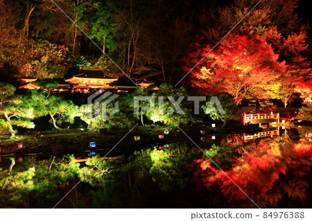Oshu City, Iwate Prefecture Esashi Fujiwara no Sato Autumn Leaves Illuminated 84976388