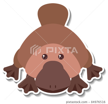 Cute platypus animal cartoon sticker 84976516