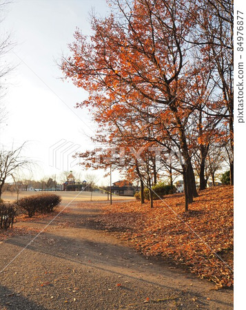 Winter morning 84976877